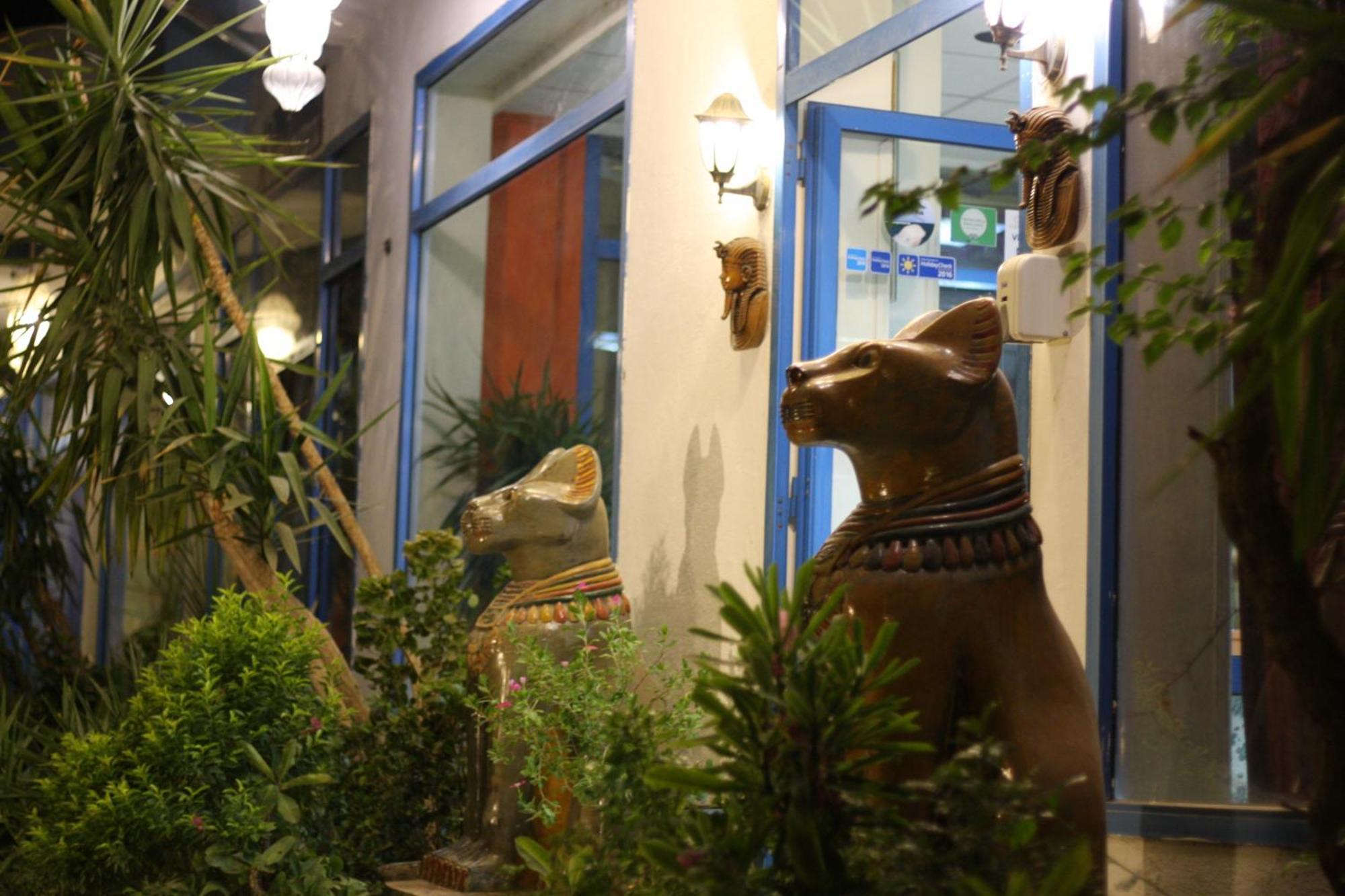 El Gezira Garden Hotel Луксор Екстериор снимка
