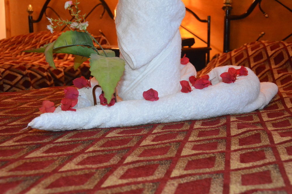 El Gezira Garden Hotel Луксор Екстериор снимка