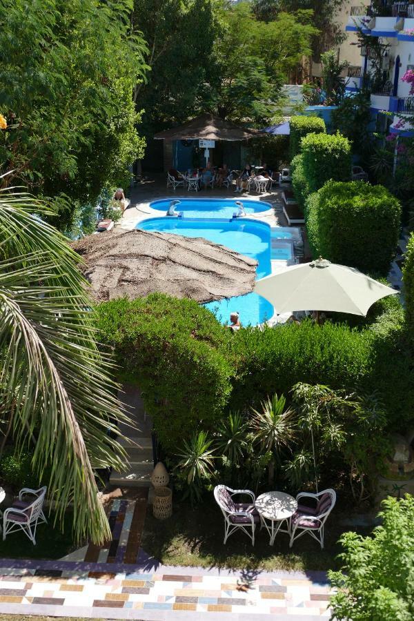 El Gezira Garden Hotel Луксор Екстериор снимка